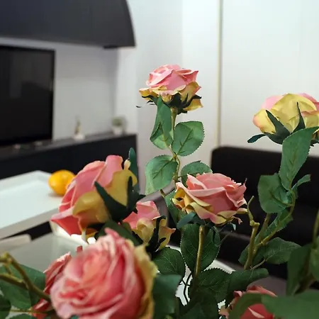 Apartamento “óvascio Street” Neapolitan